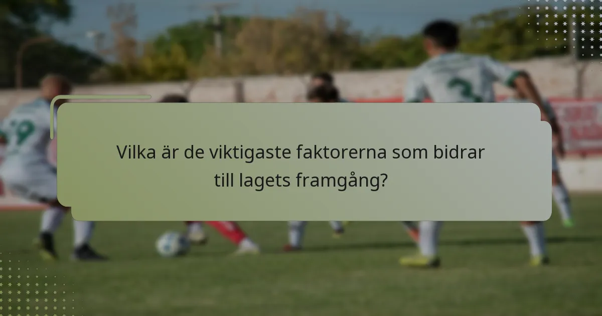 Vilka är de viktigaste faktorerna som bidrar till lagets framgång?