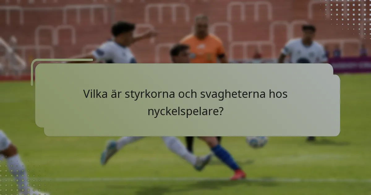 Vilka är styrkorna och svagheterna hos nyckelspelare?